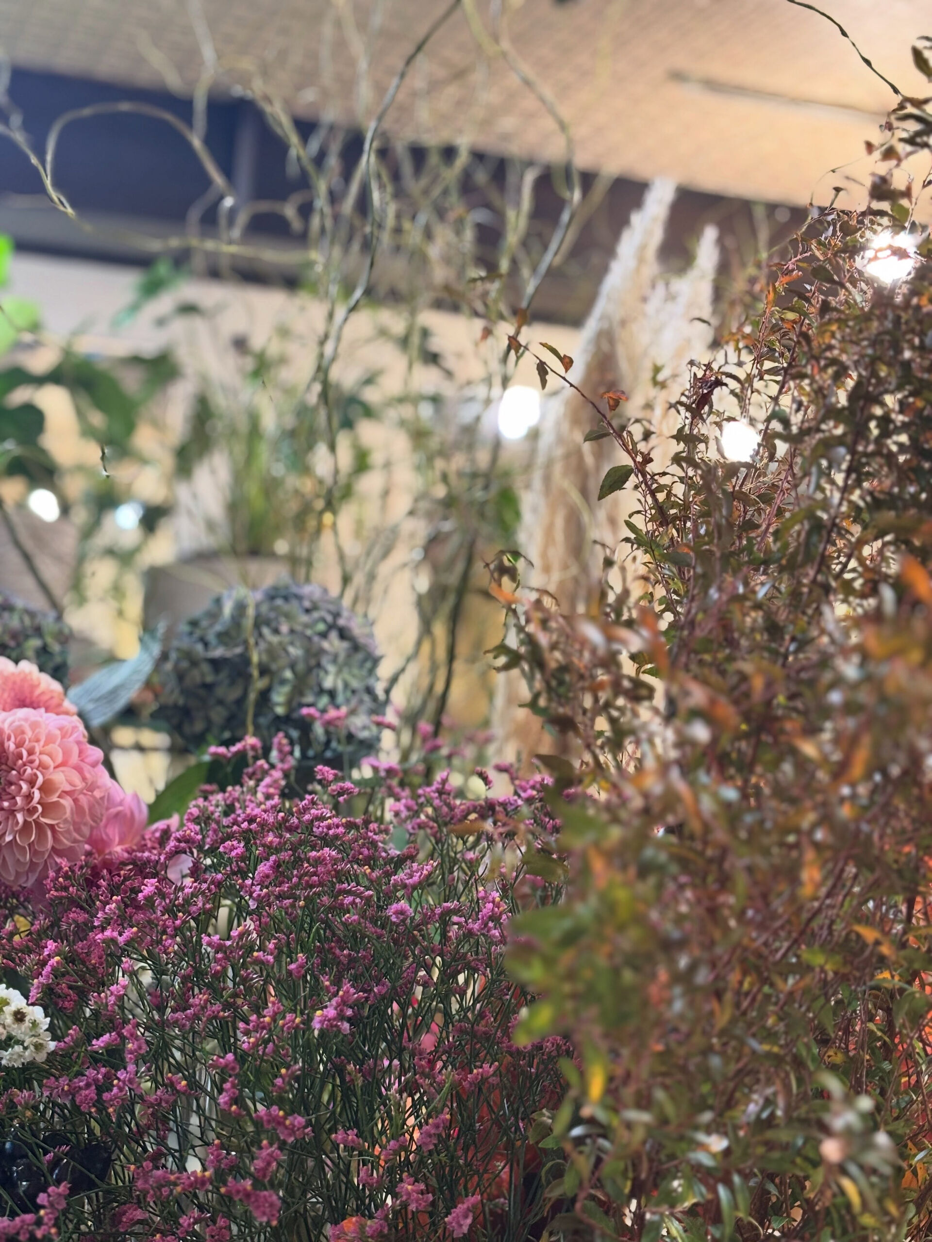 秋のお花入荷しております🎃 