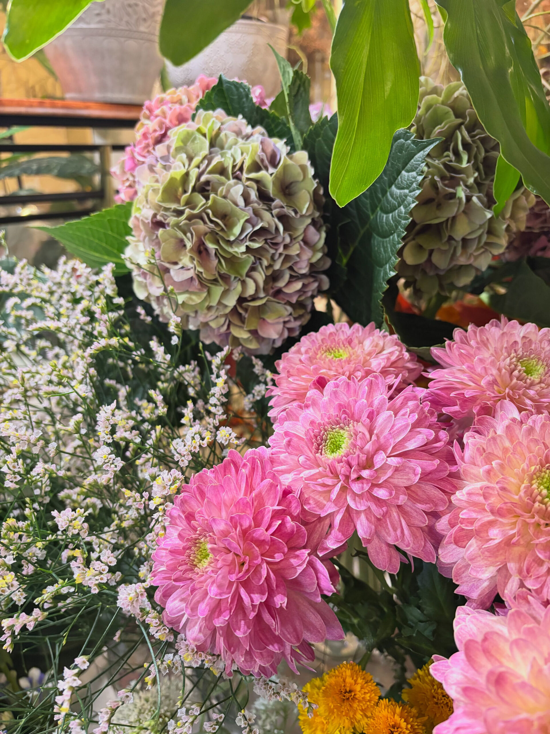 今週末のお花