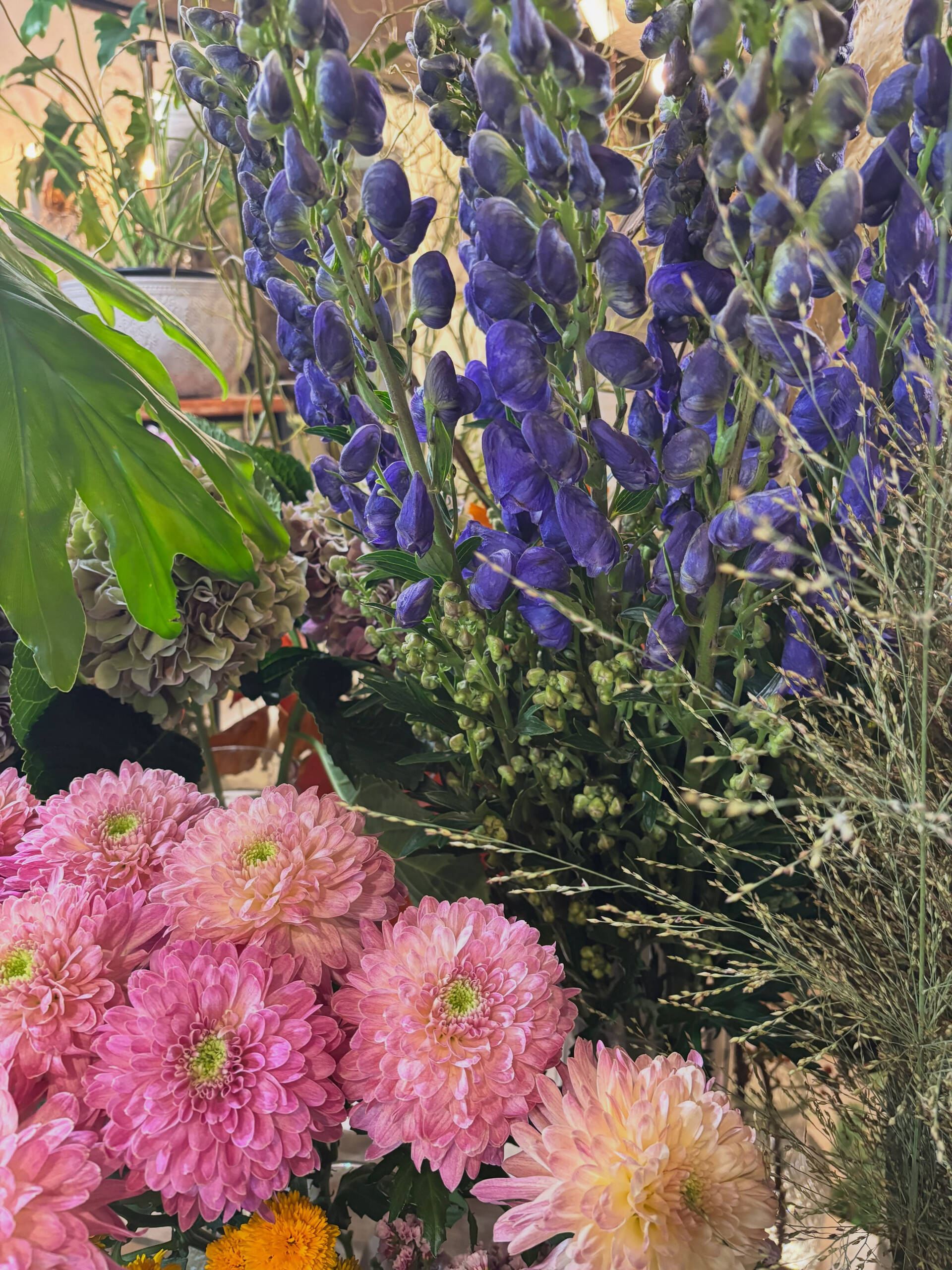 今週末のお花