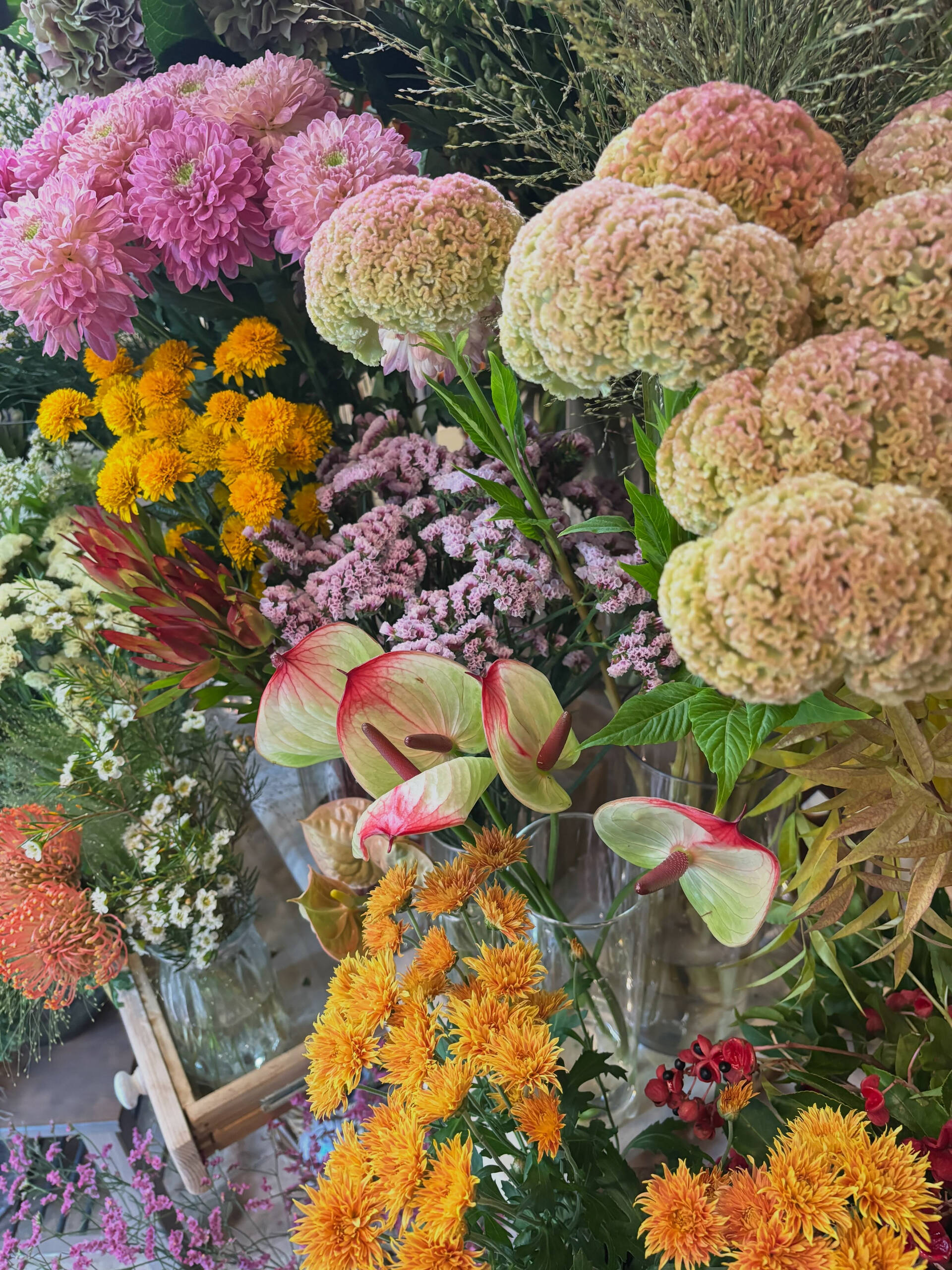今週末のお花