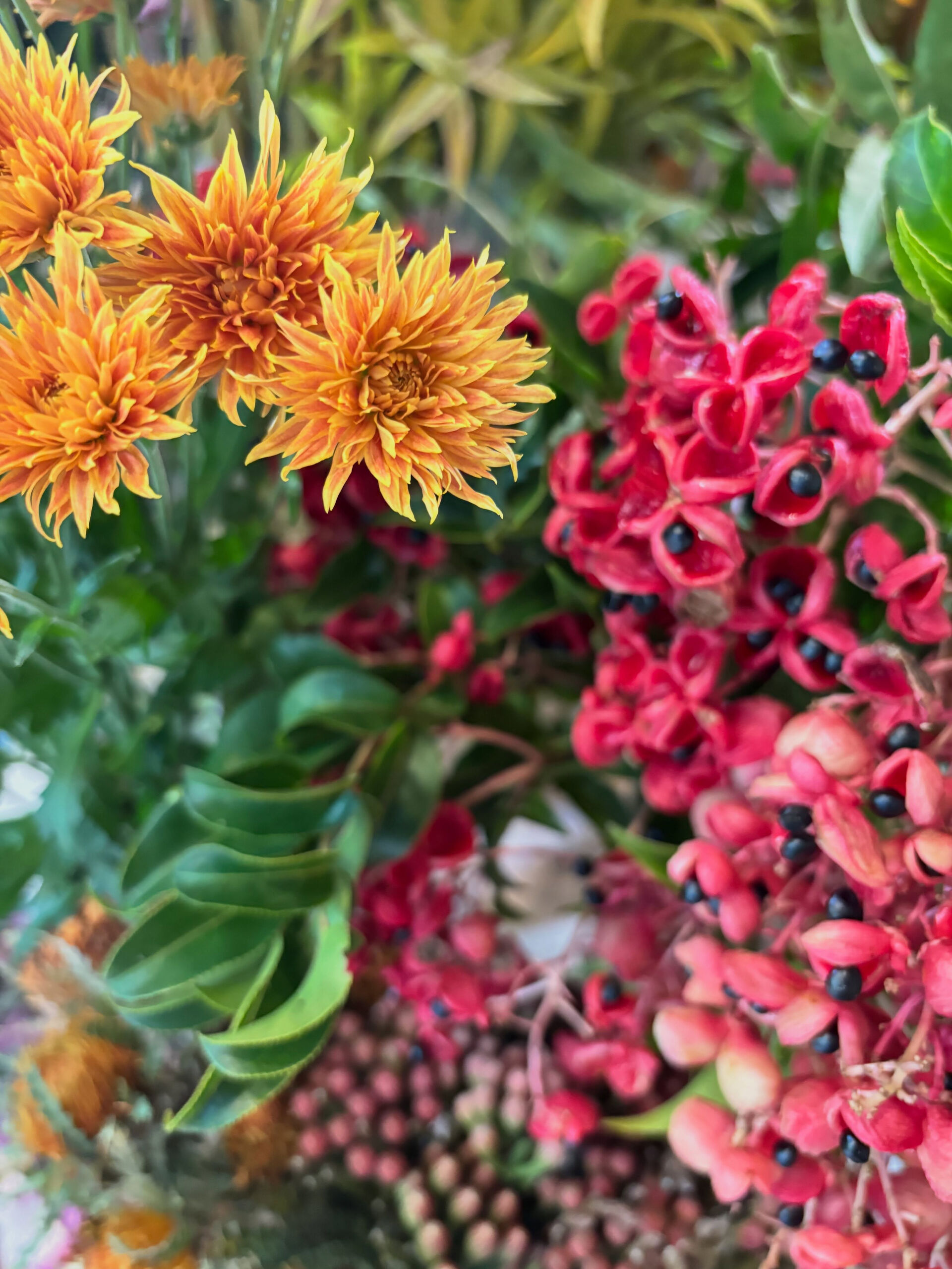 今週末のお花