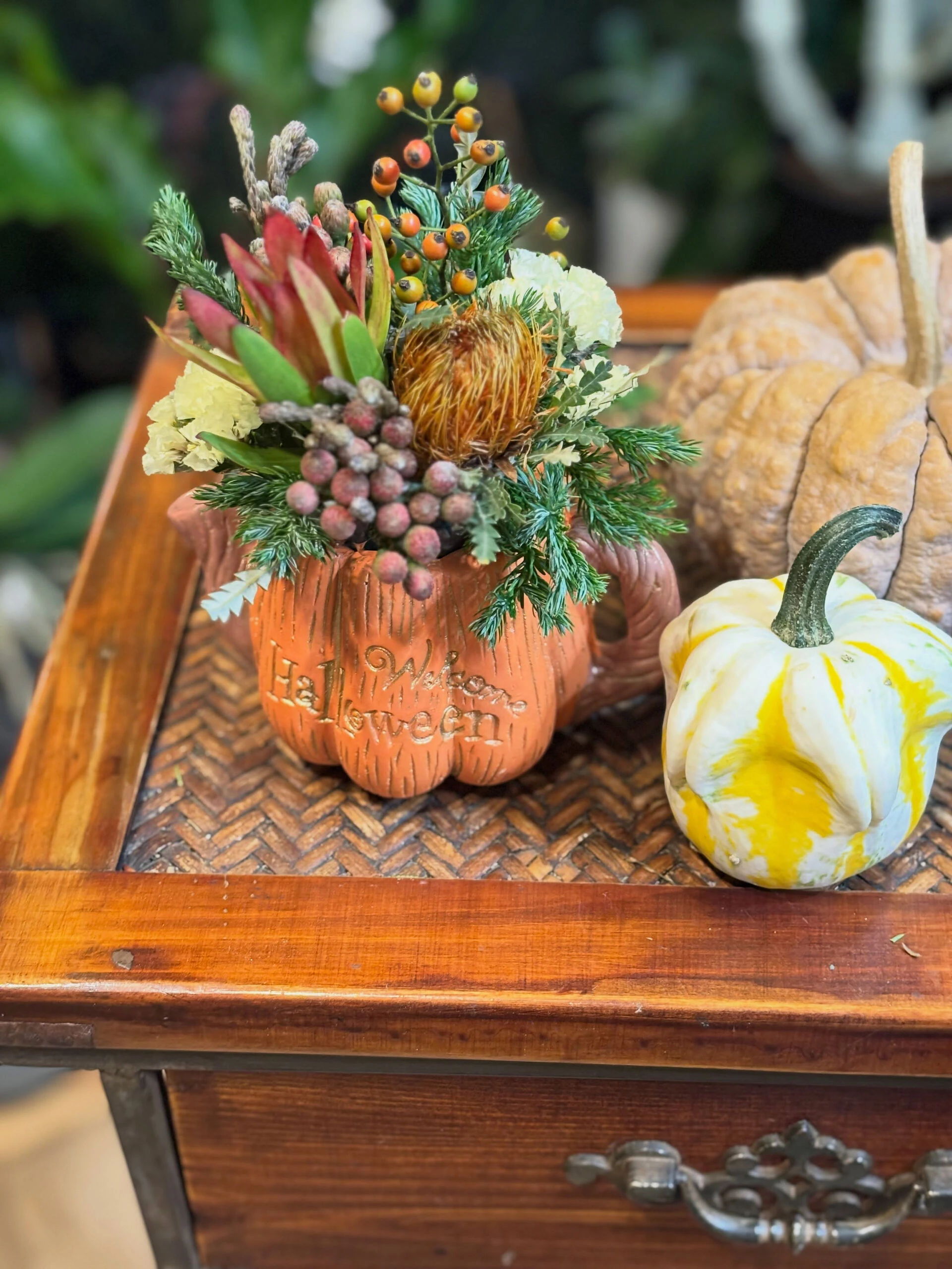 🎃 【限定4名様】🎃