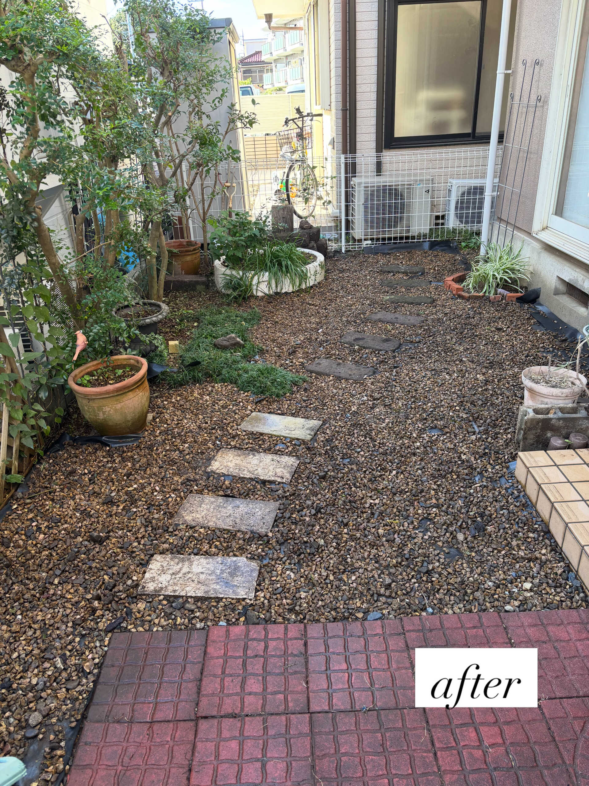 お庭の雑草対策と庭木の剪定を行いました 🌱
