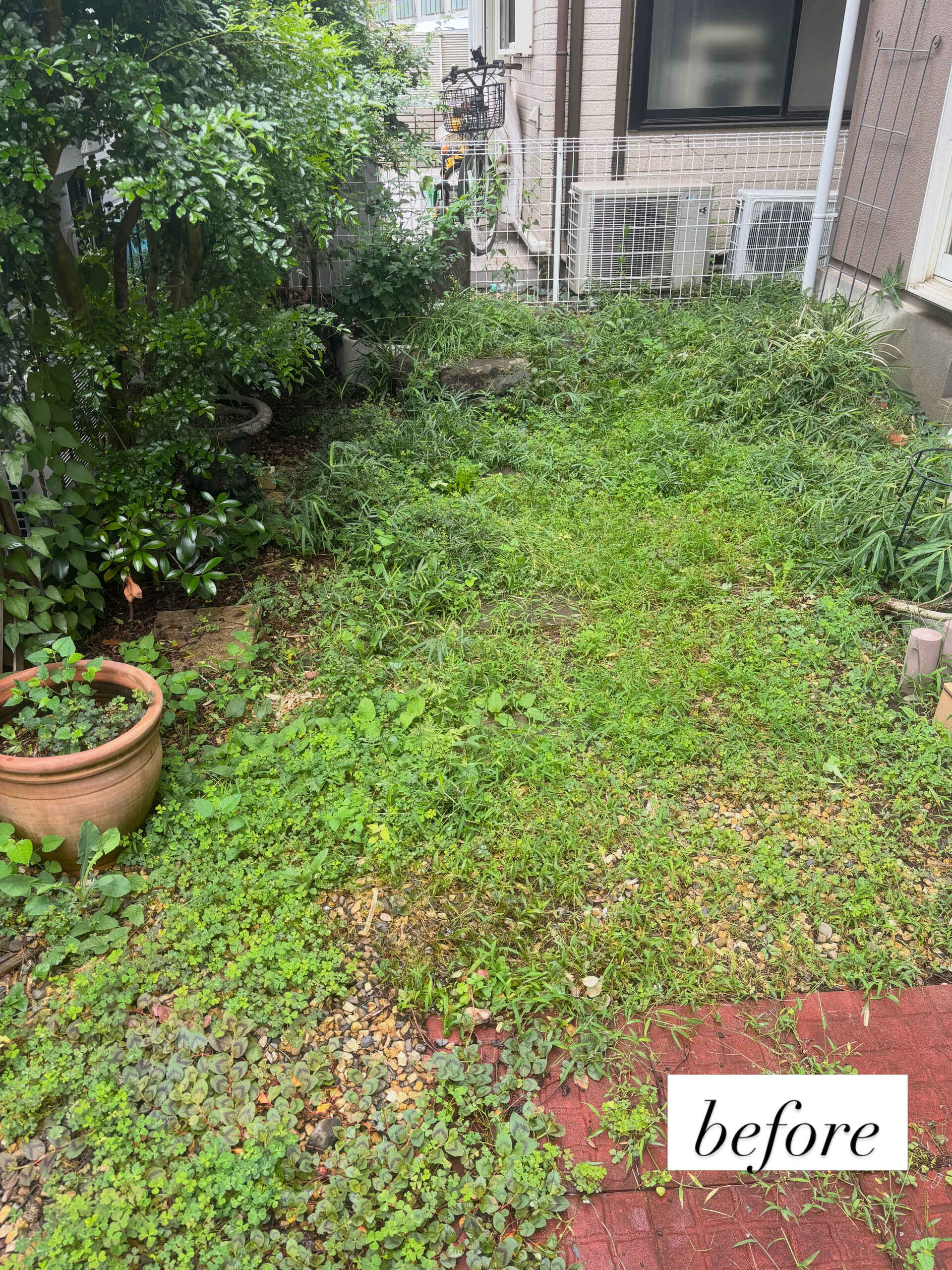 お庭の雑草対策と庭木の剪定を行いました 🌱