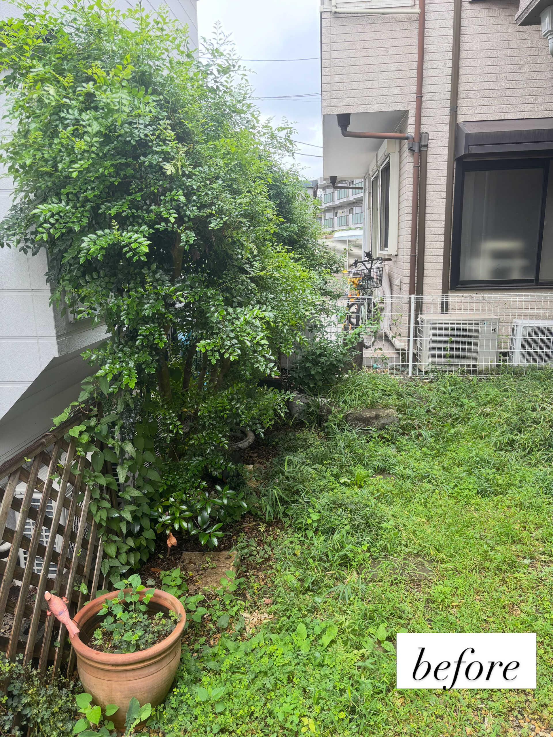 お庭の雑草対策と庭木の剪定を行いました 🌱