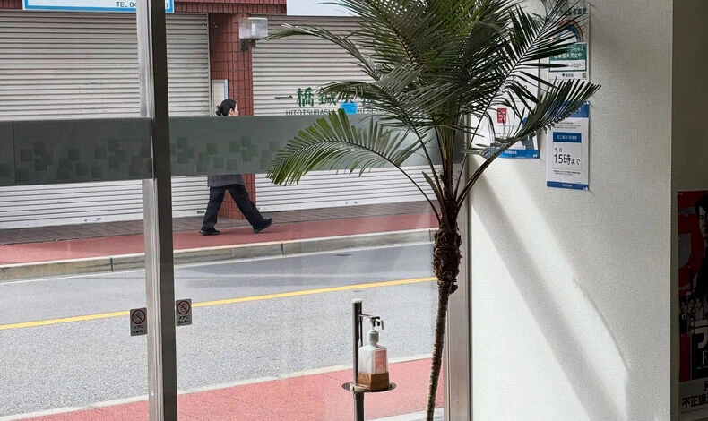 画像11198：近隣の企業様のエントランスへ、観葉植物を納品させていただきま