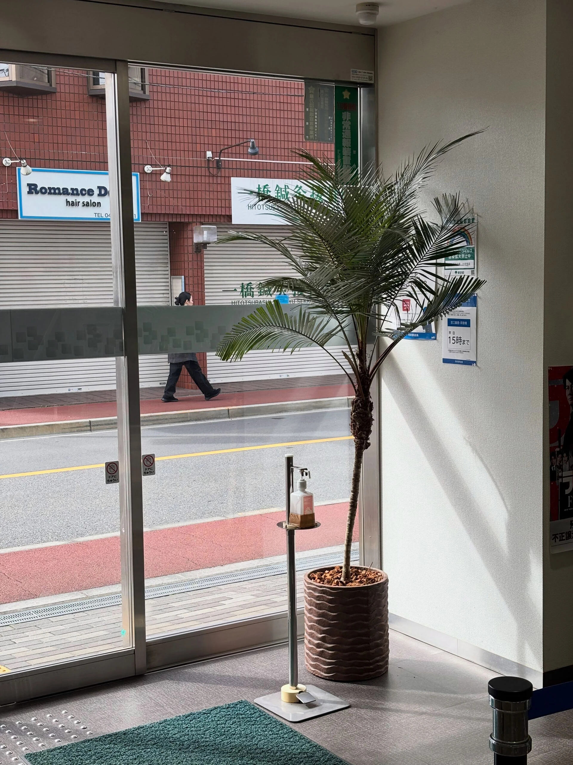 近隣の企業様のエントランスへ、観葉植物を納品させていただきま