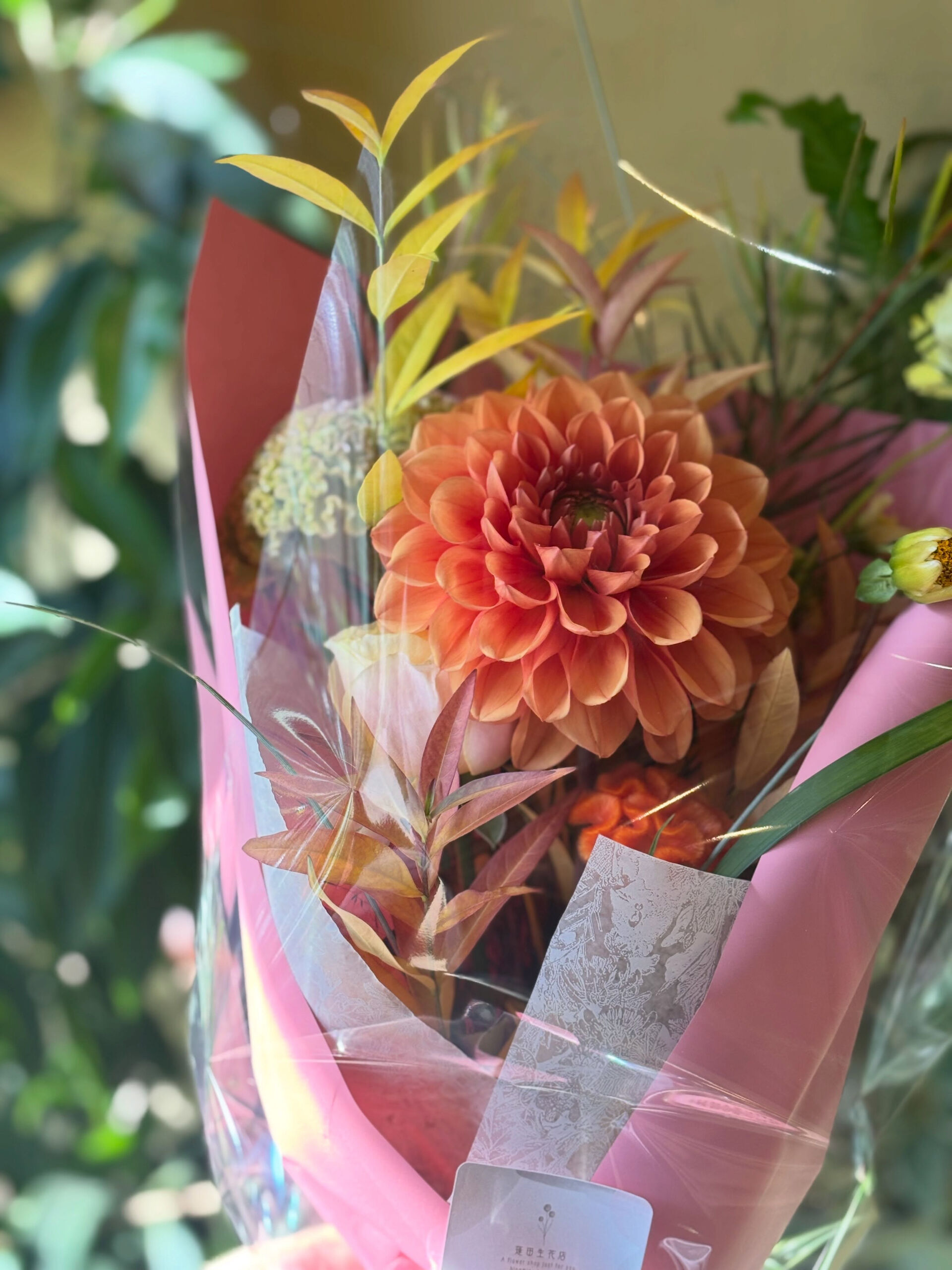 秋のお花の贈り物💐色の発色もよくグラデーションが綺麗な時期で