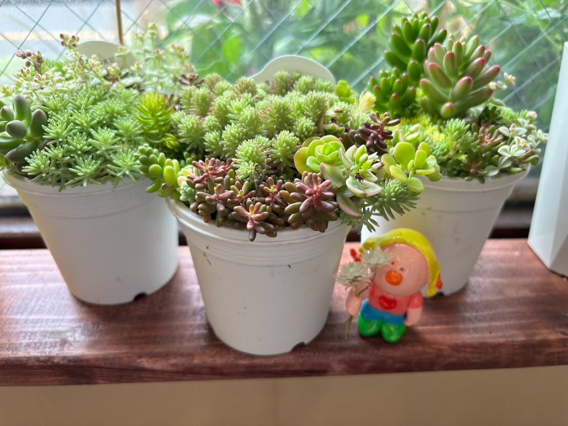 ちいさな手に、お花をぎゅっと