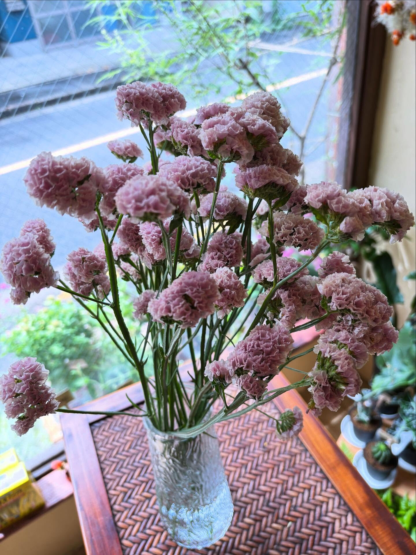 今日の仕入れから、ちょっと特別なリモニウムをご紹介