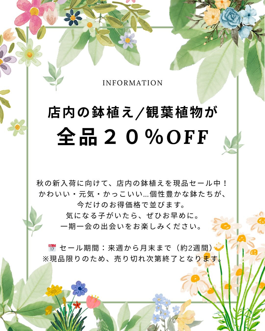 秋、迎える準備は鉢植えから