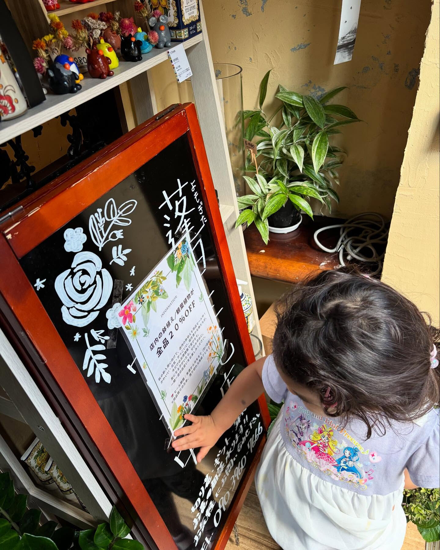 秋、迎える準備は鉢植えから
