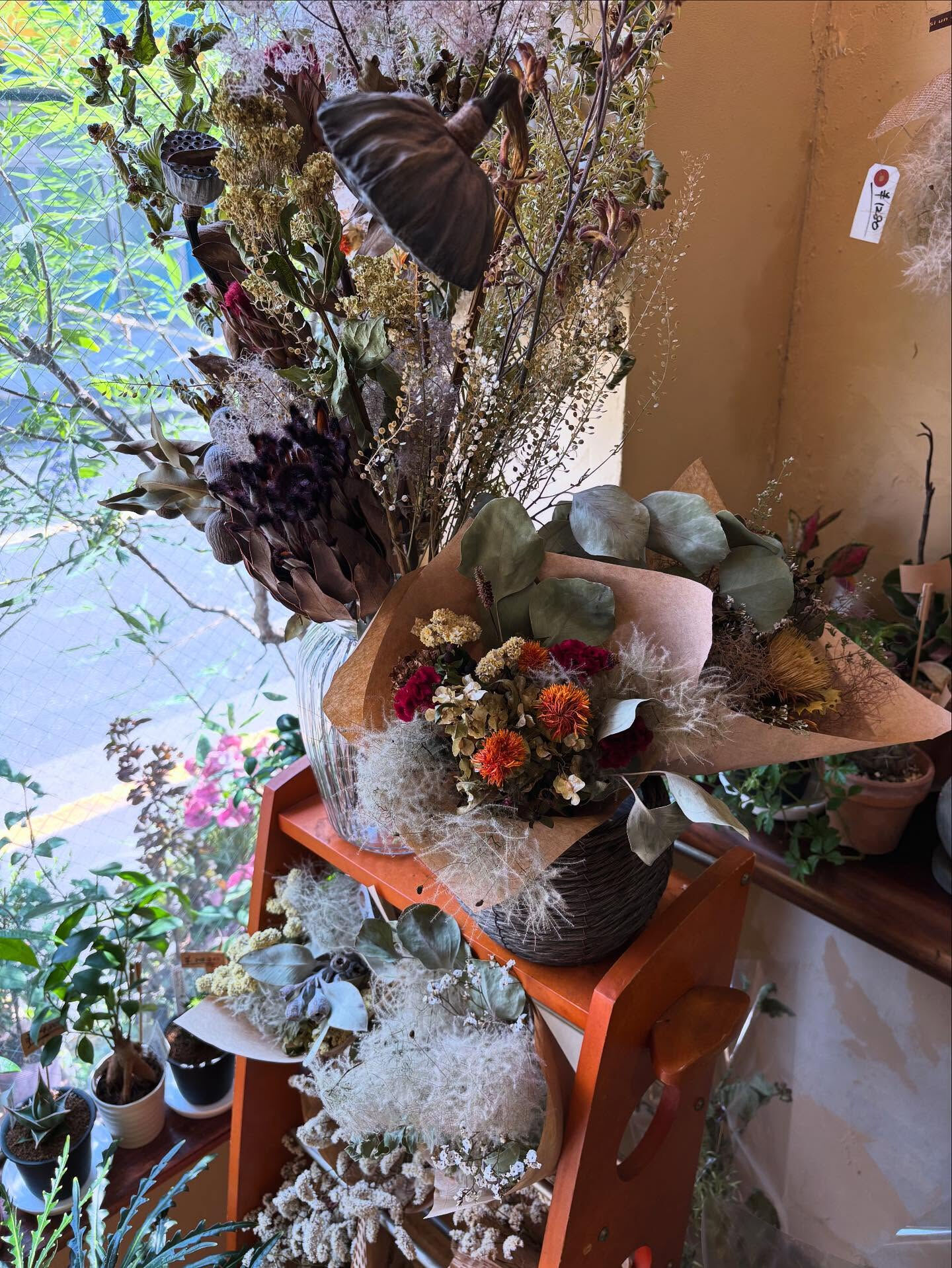 乾いた花の色は、時間を味方につけた美しさ