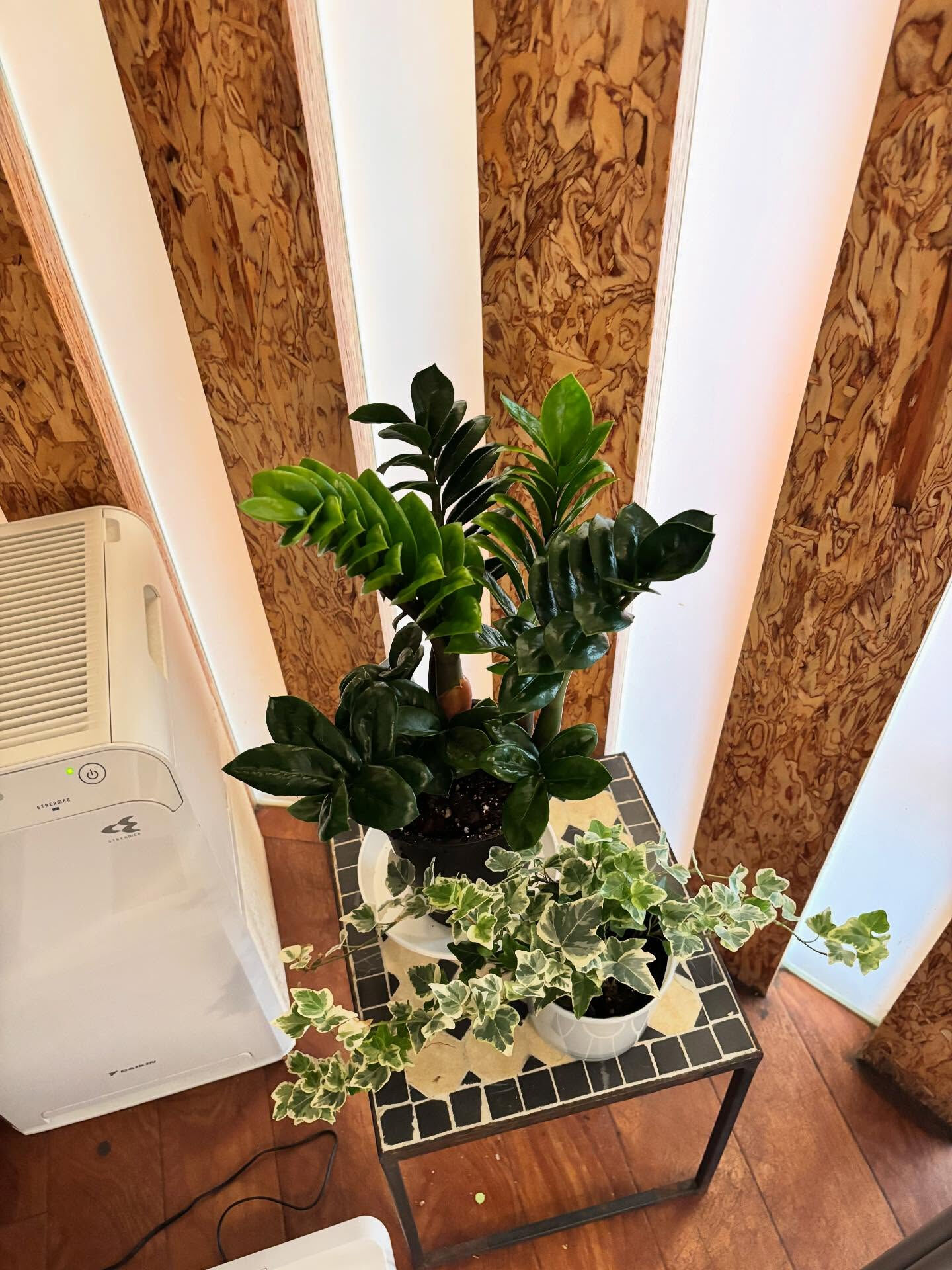 🪴 _観葉植物のリース、近くのクリニック様へ納品いたしました