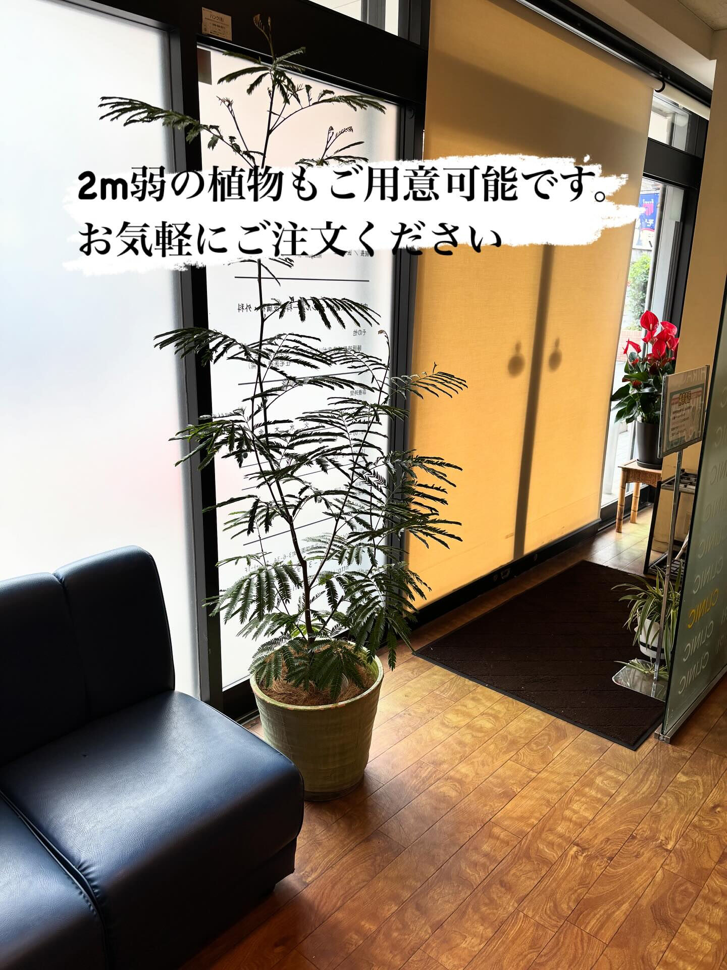 🪴 _観葉植物のリース、近くのクリニック様へ納品いたしました