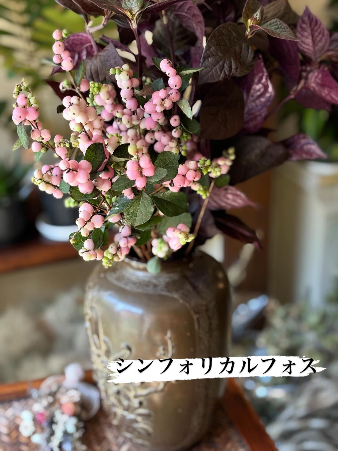 本日の切り花入荷のご案内です
