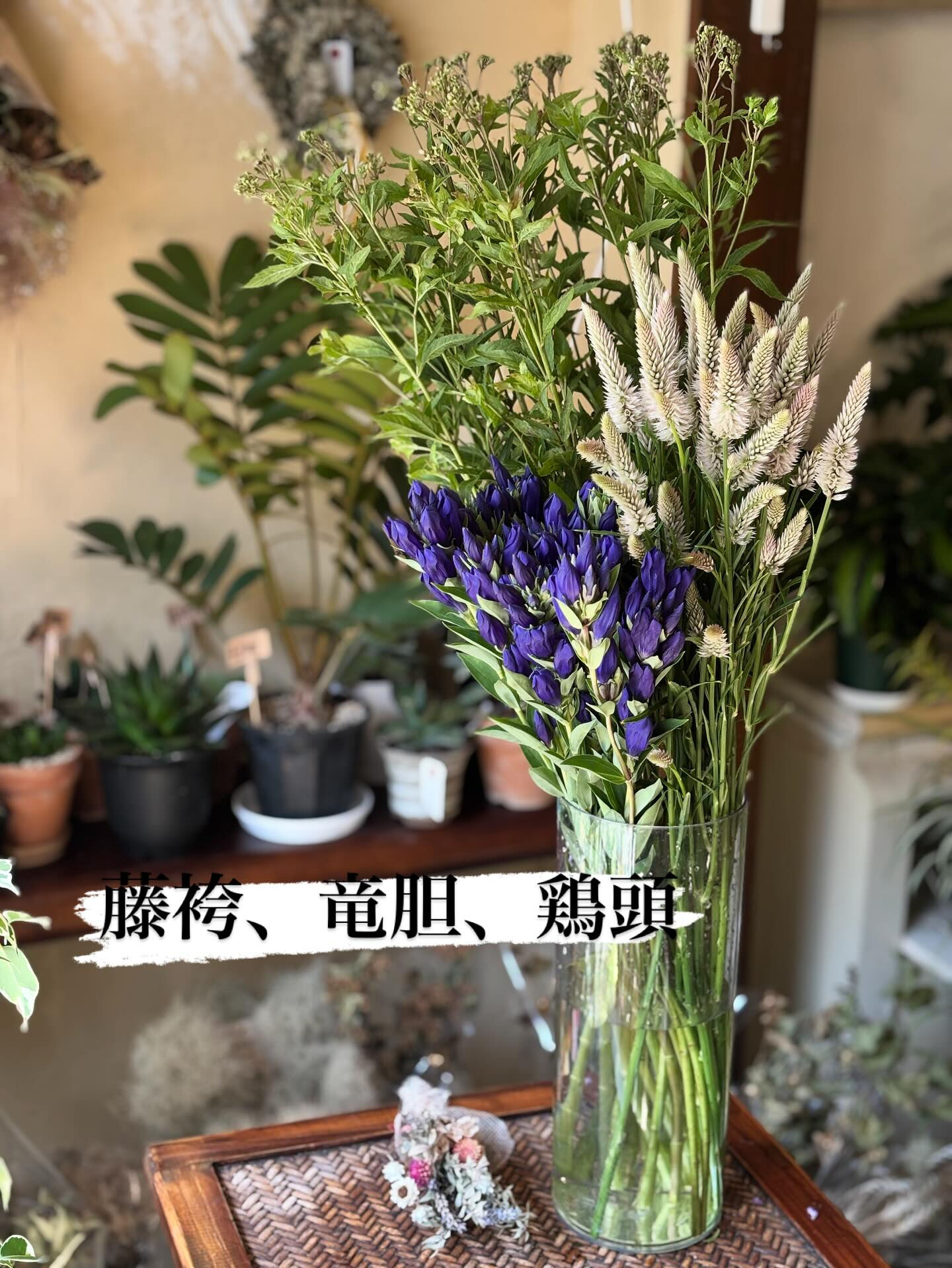 本日の切り花入荷のご案内です