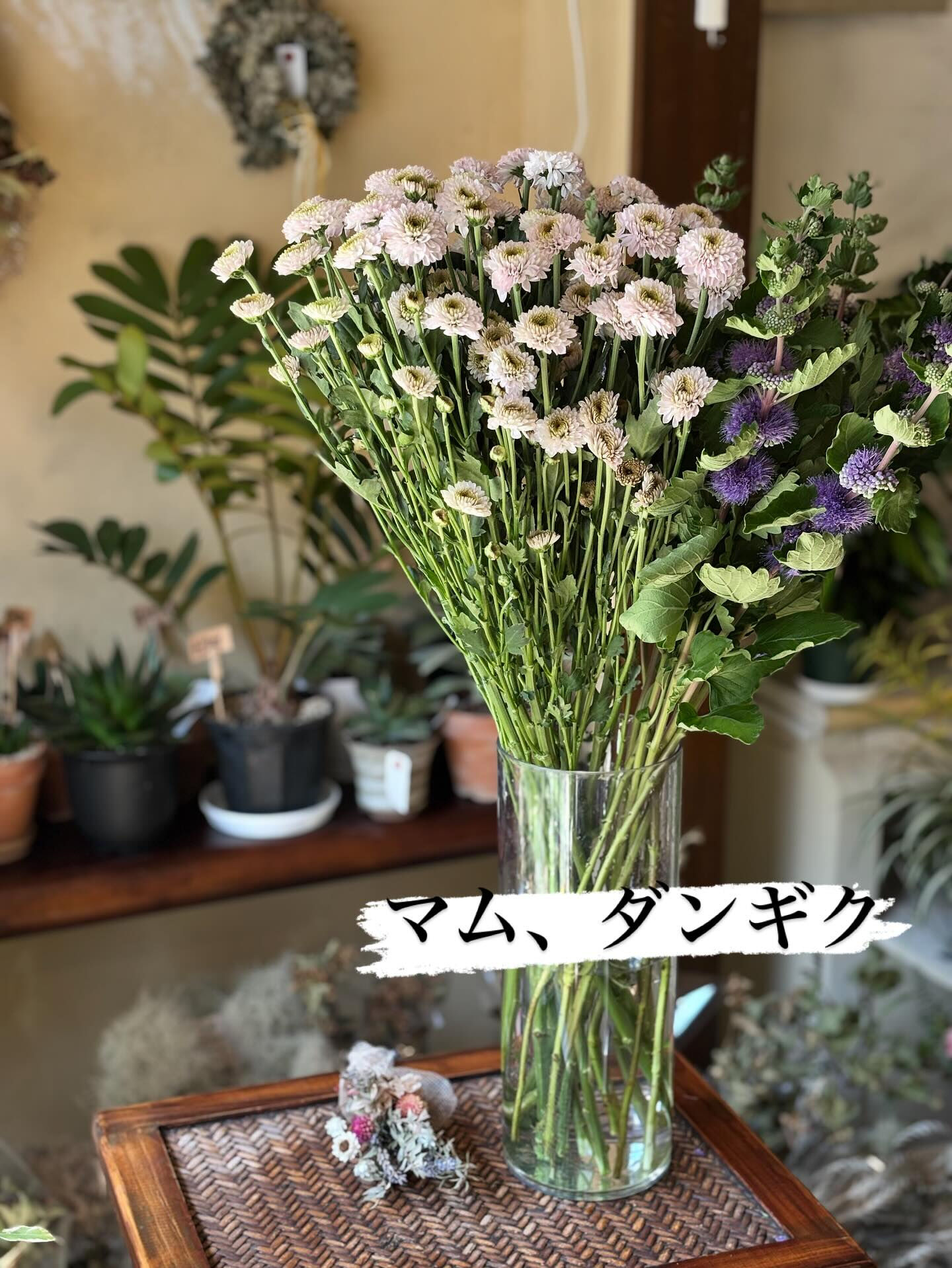 本日の切り花入荷のご案内です