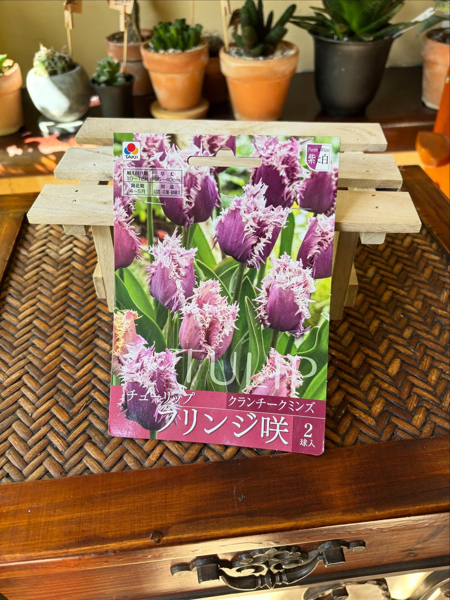 春の玄関やベランダを、かわいい花で彩る風景