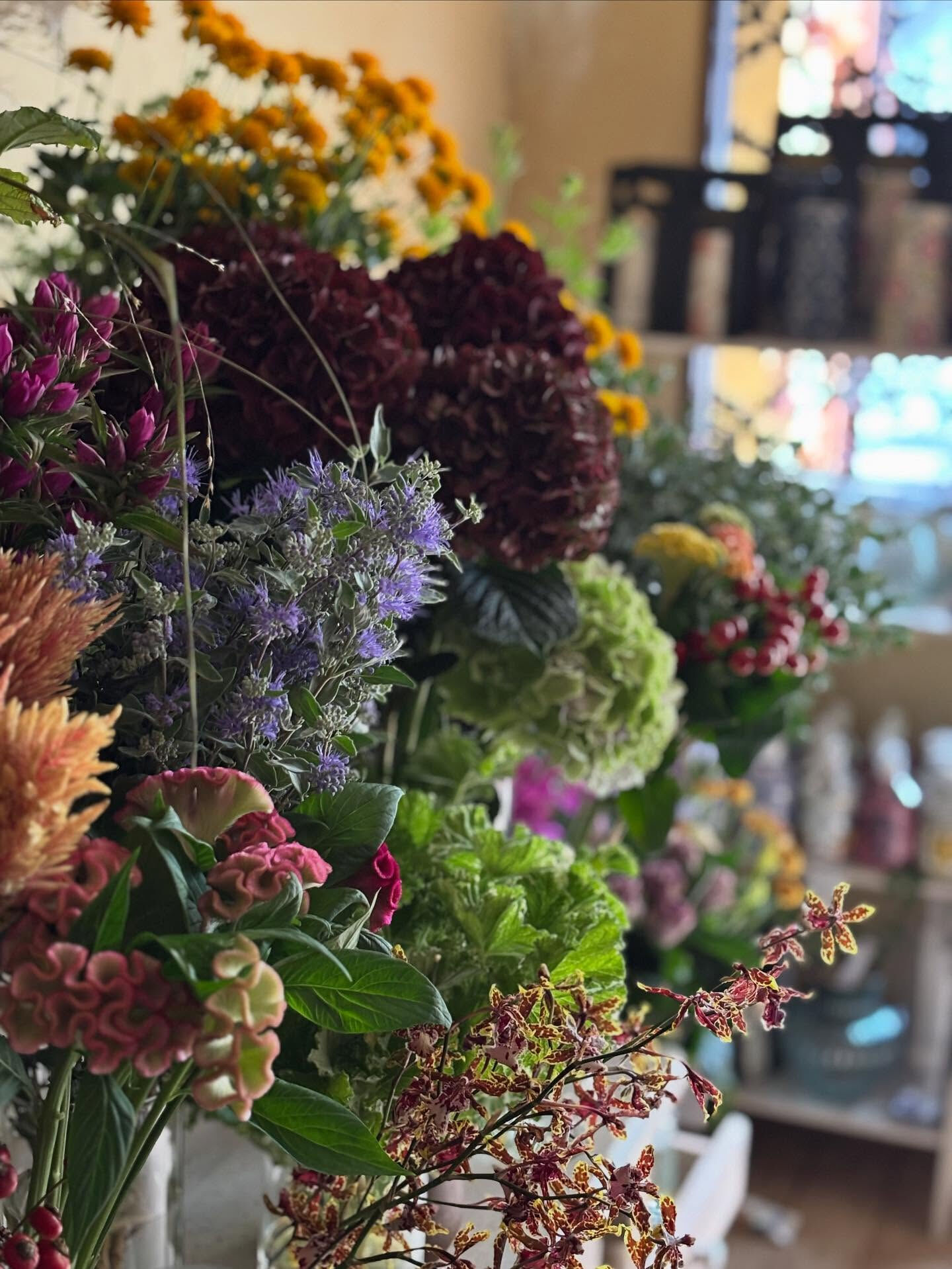 切り花、秋色のものがいろいろ入荷しています🍂