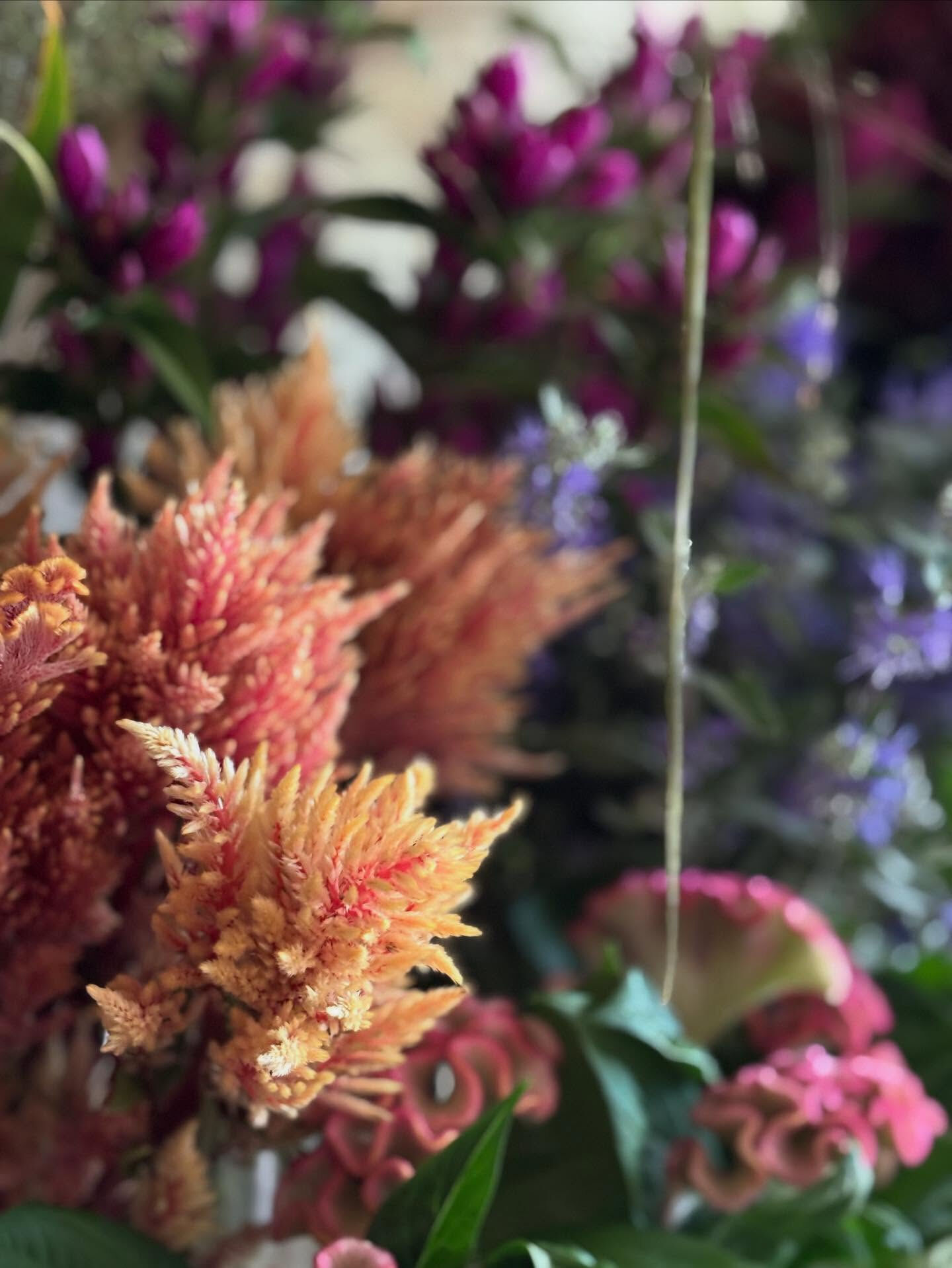 切り花、秋色のものがいろいろ入荷しています🍂