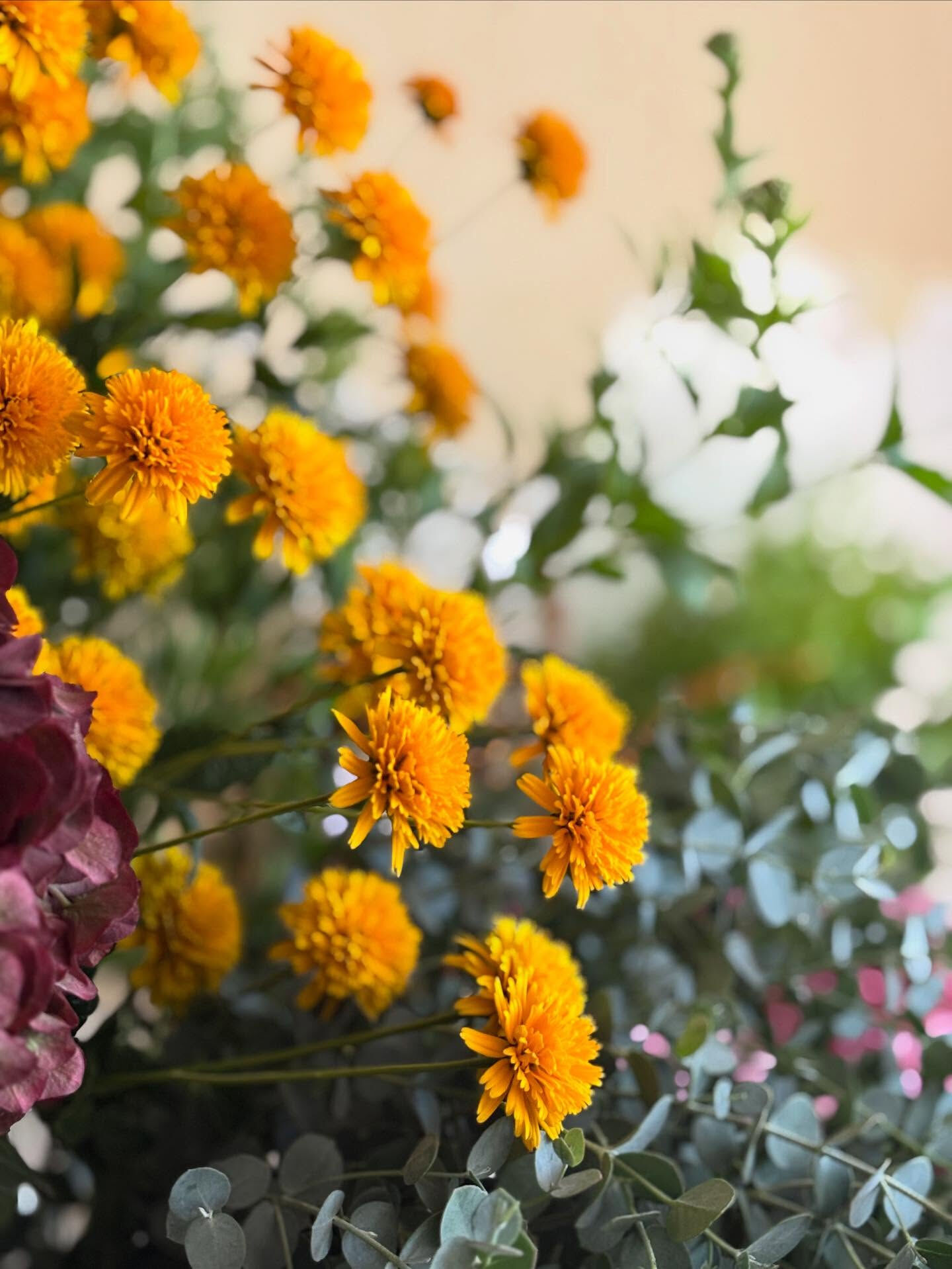 切り花、秋色のものがいろいろ入荷しています🍂