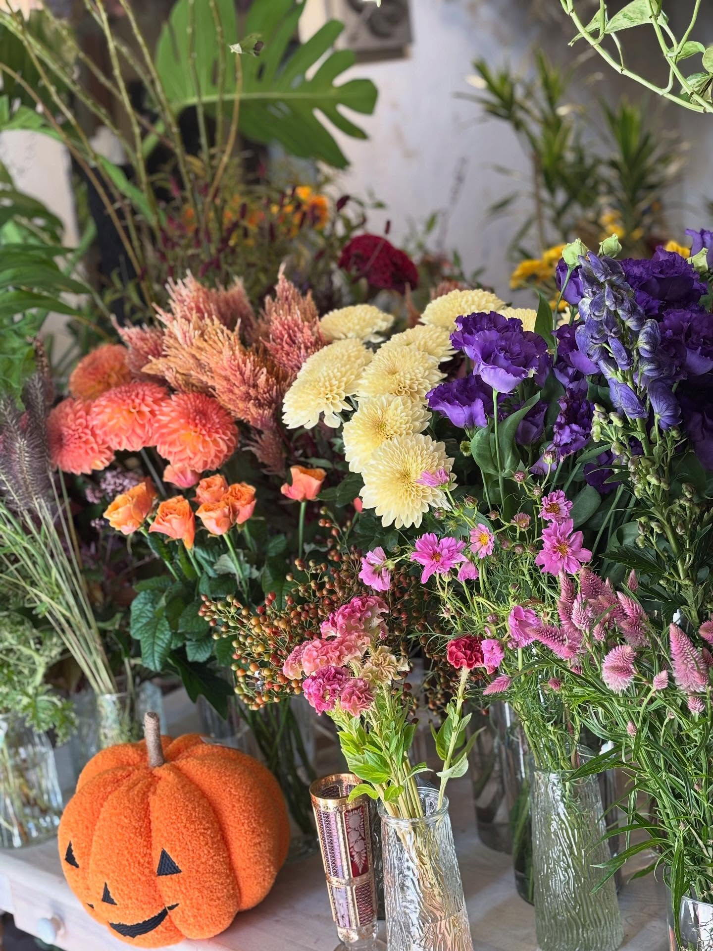 🍂 秋のお花、入荷しました
