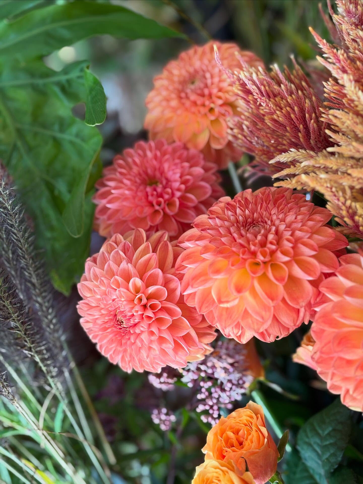 🍂 秋のお花、入荷しました