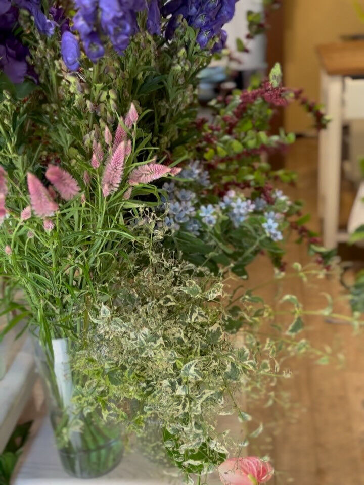 🍂 秋のお花、入荷しました