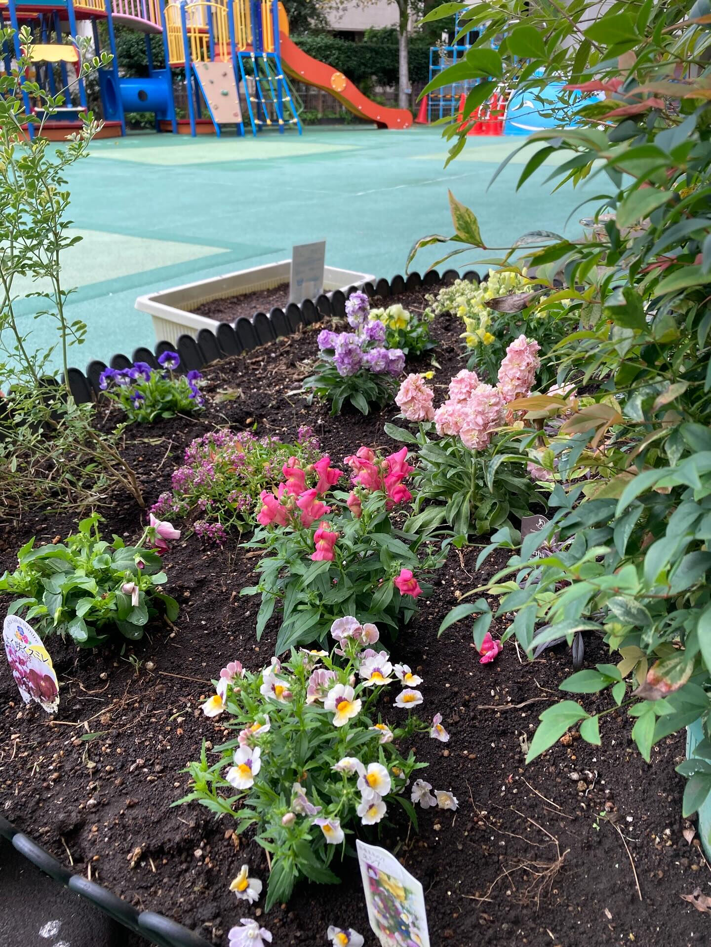 👧🌱 幼稚園の植栽を担当しました