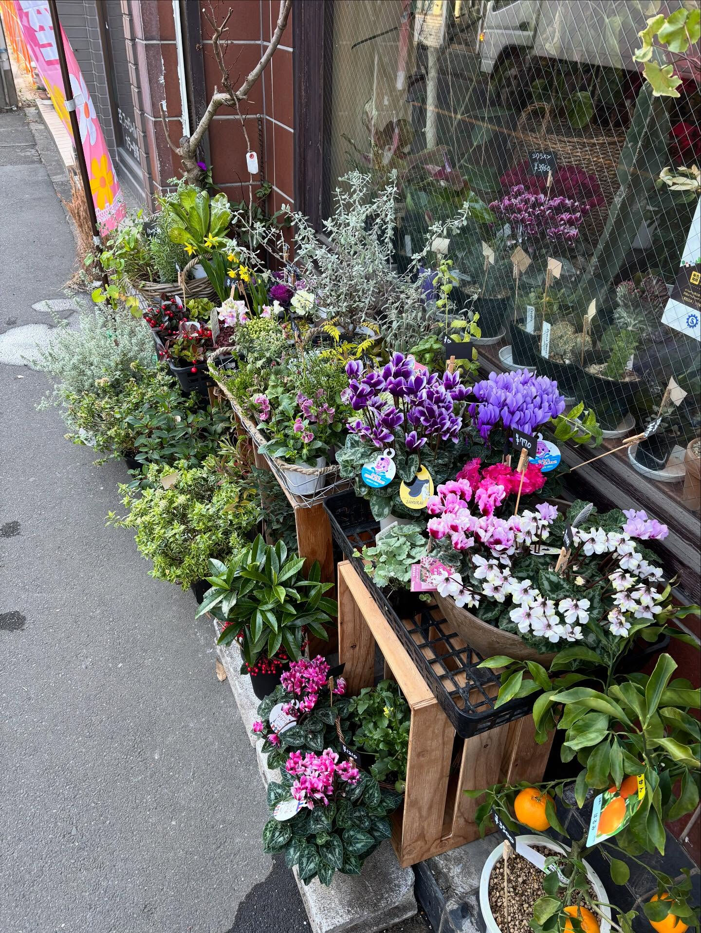 【季節の寄せ植えワークショップ】