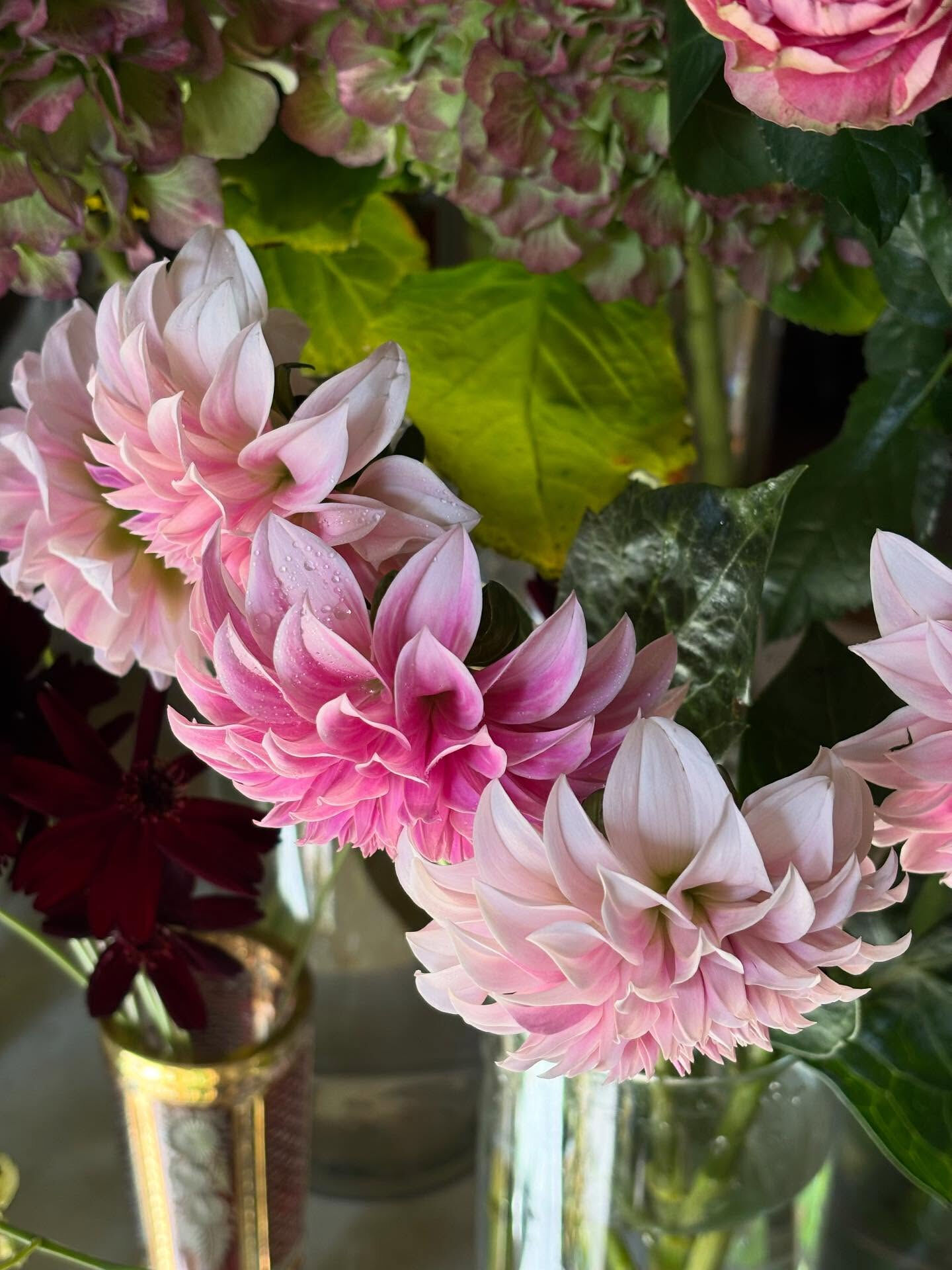 切花入荷のお知らせ💐