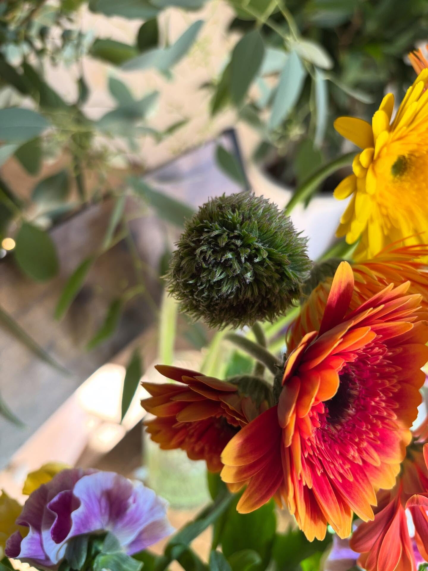 切花入荷のお知らせ💐