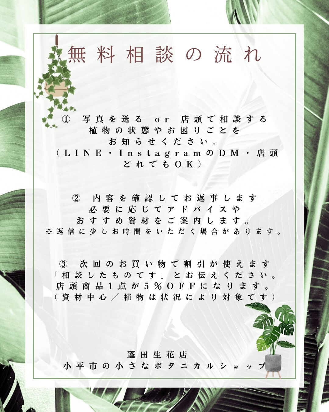 植物のことで困ったら、まずはご相談ください🌱