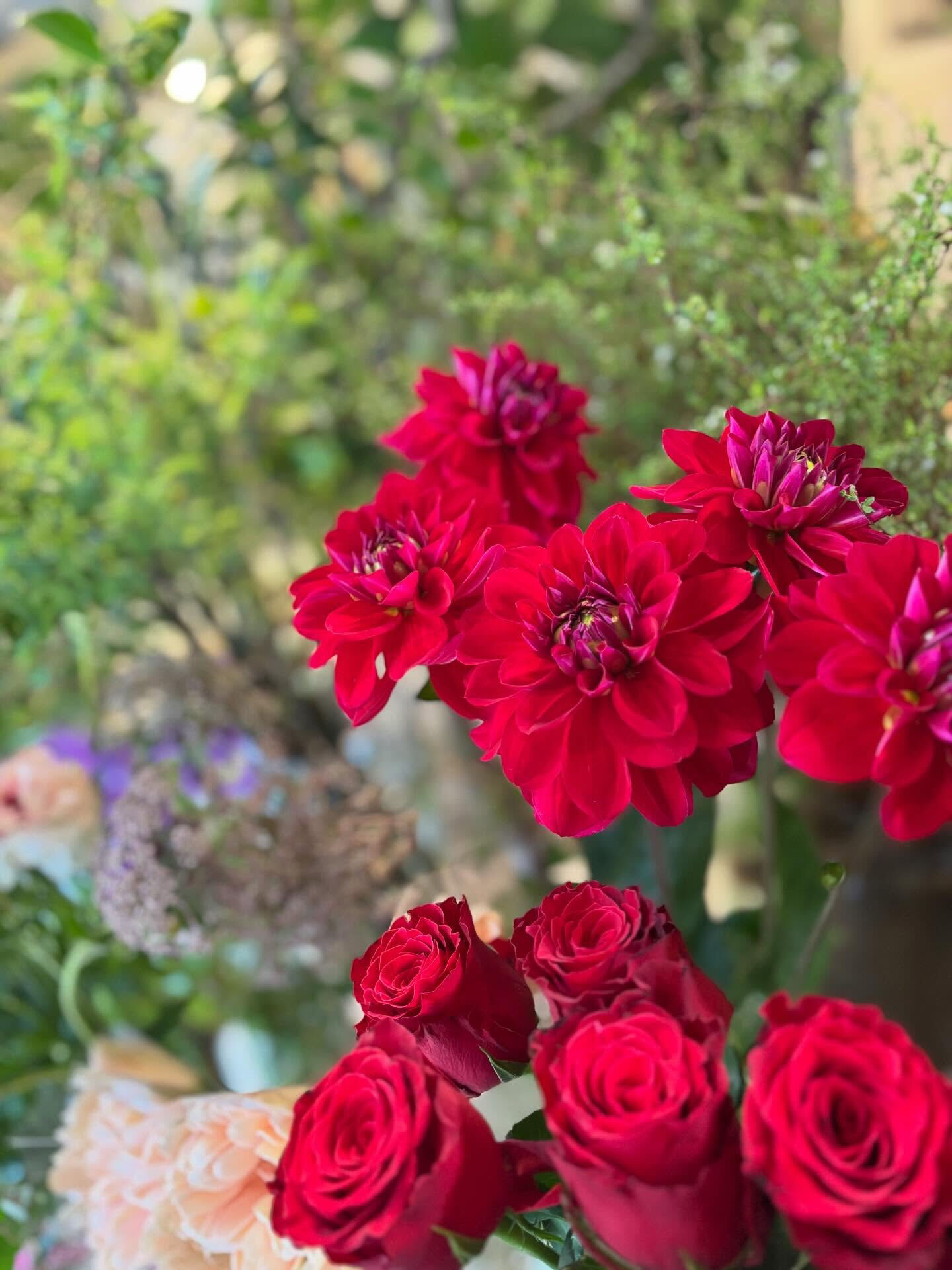 春のお花がたくさん届きました
