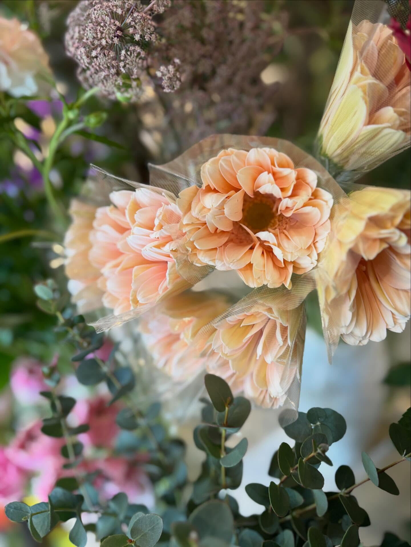 春のお花がたくさん届きました