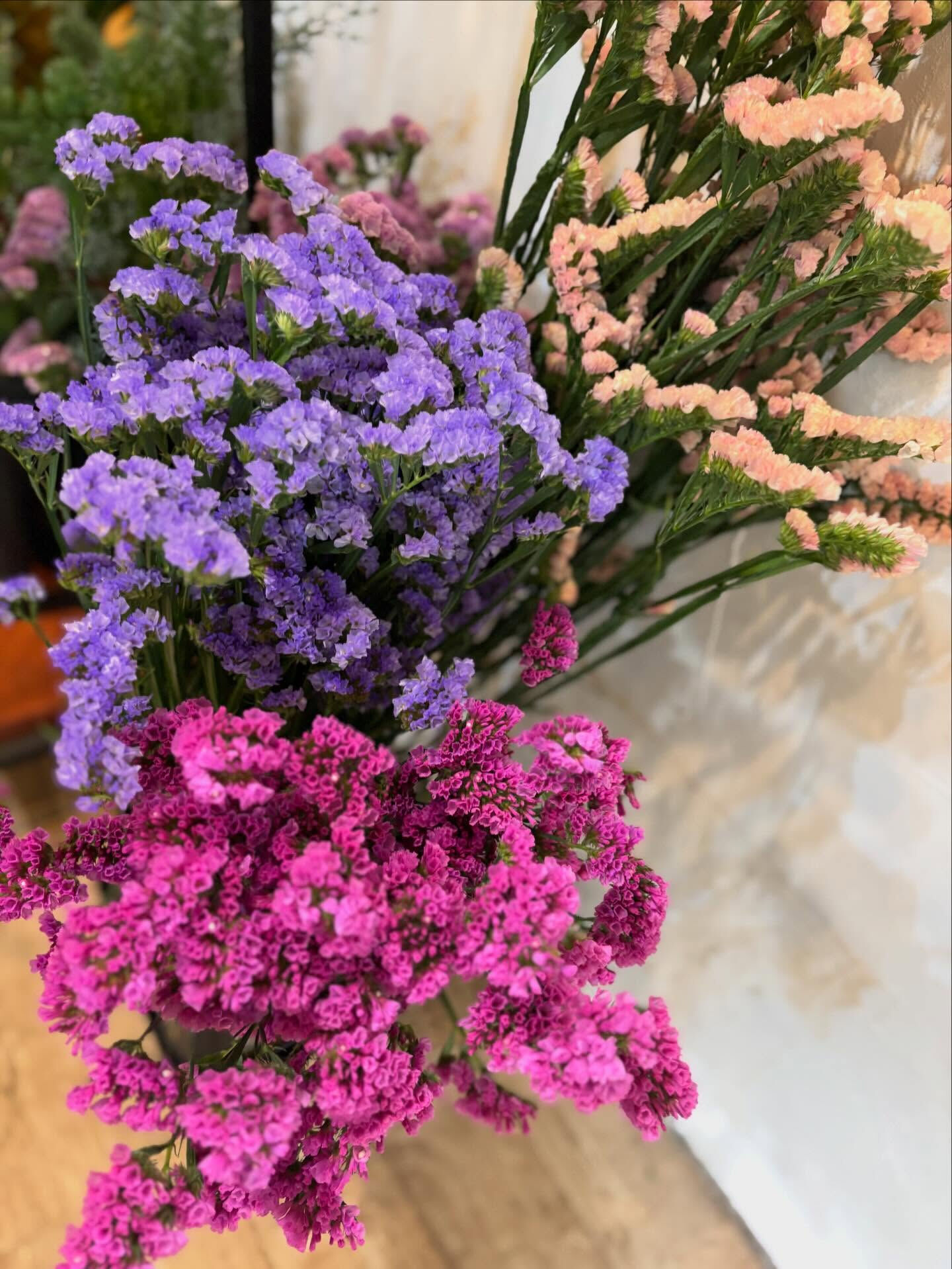 春のお花がたくさん届きました