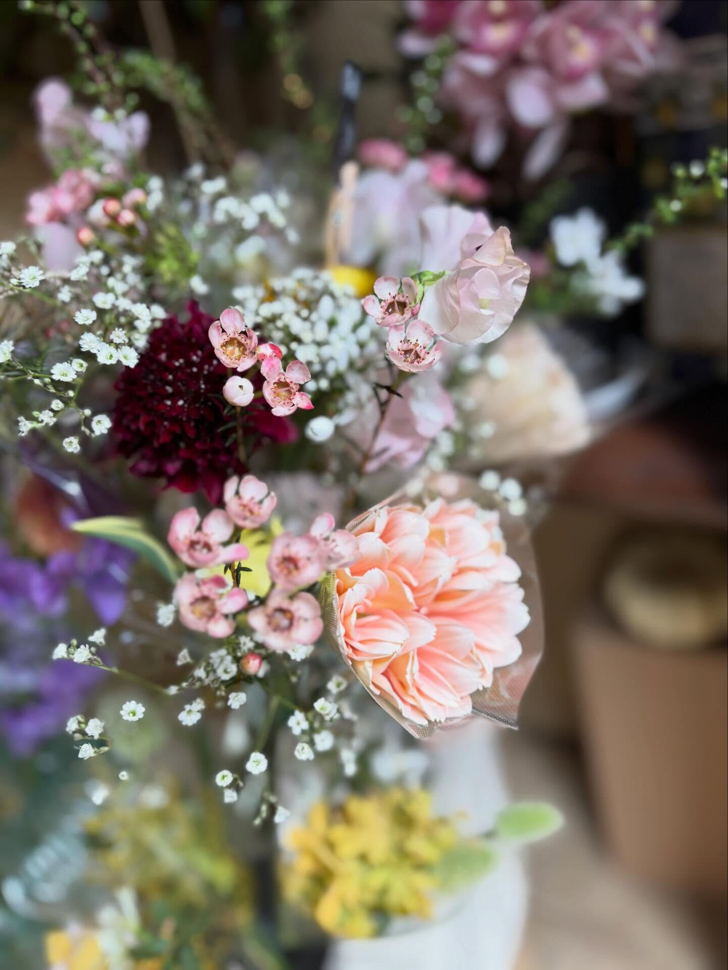 春のお花がたくさん届きました