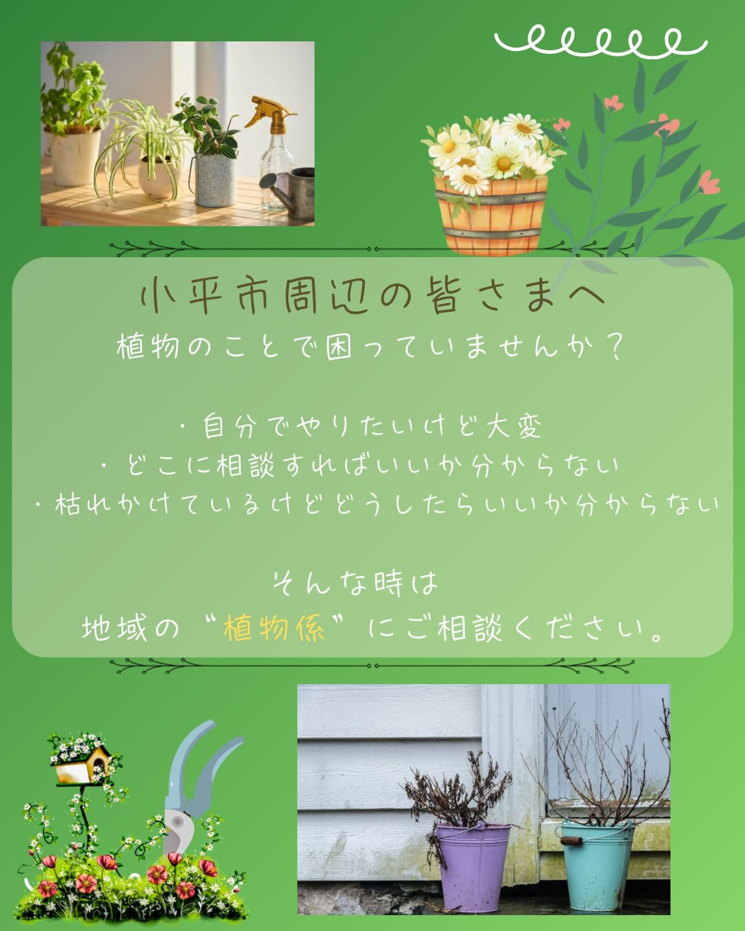 植物のことで、