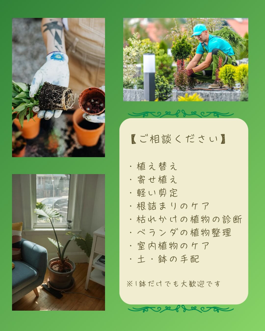 植物のことで、