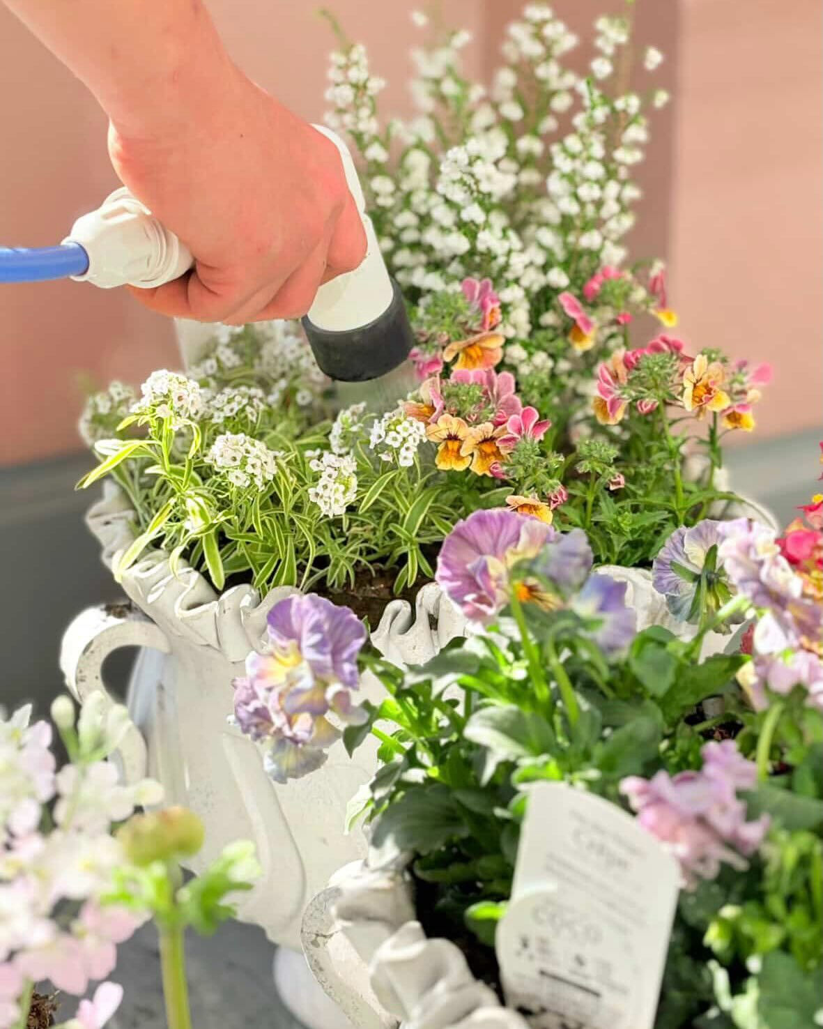 植物のことで、