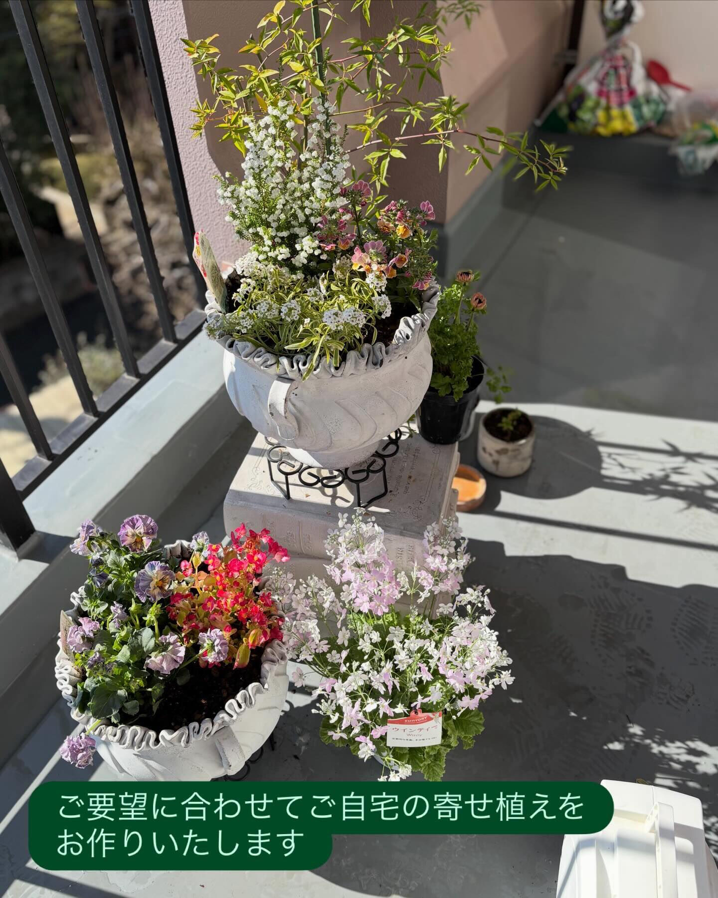 植物のことで、
