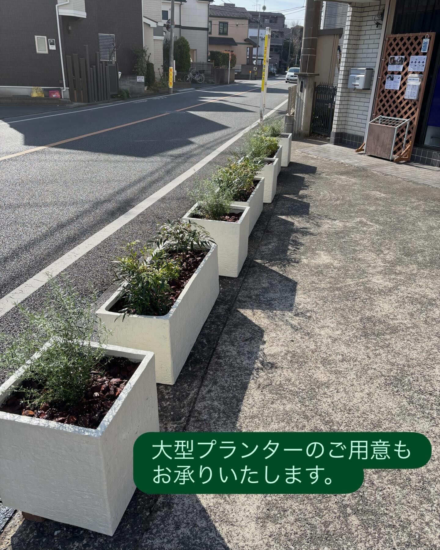 植物のことで、