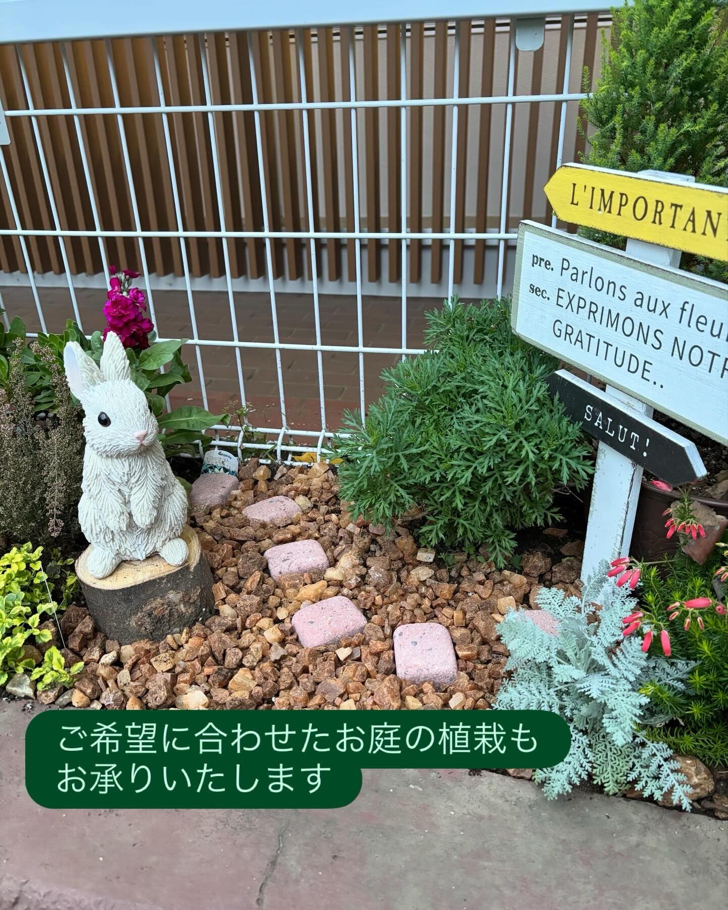 植物のことで、
