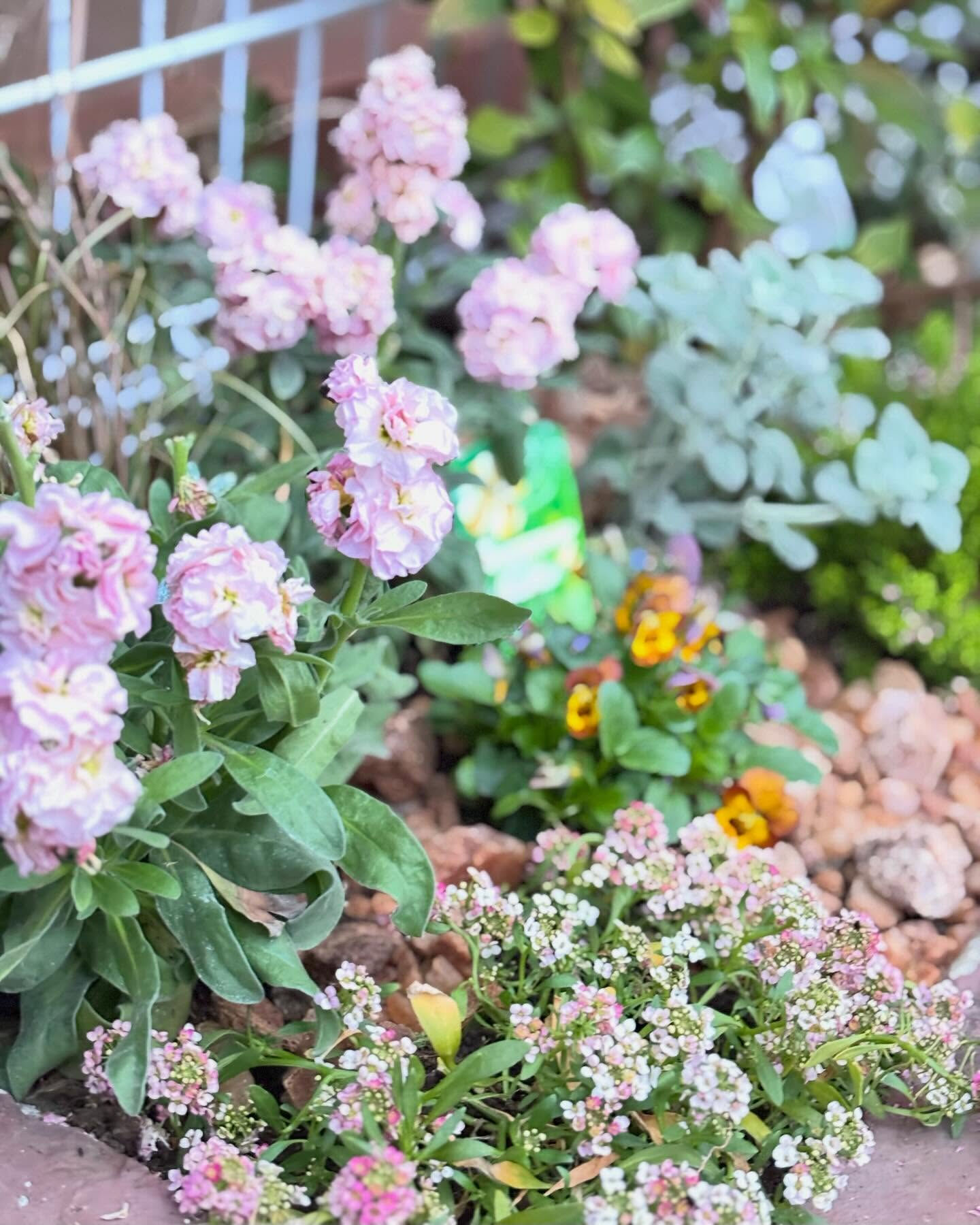 植物のことで、