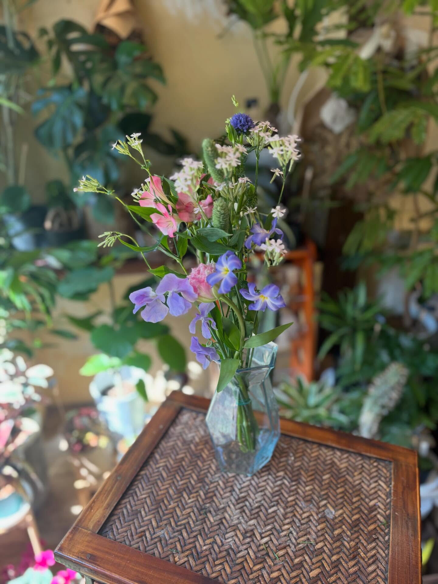 本日のお持ち帰りアイテム、いろいろあります 🌿