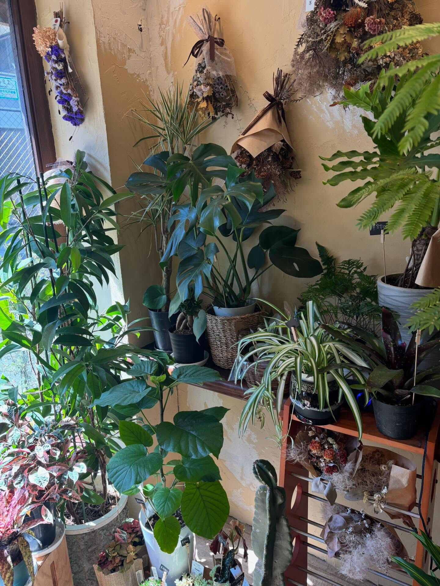 本日のお持ち帰りアイテム、いろいろあります 🌿
