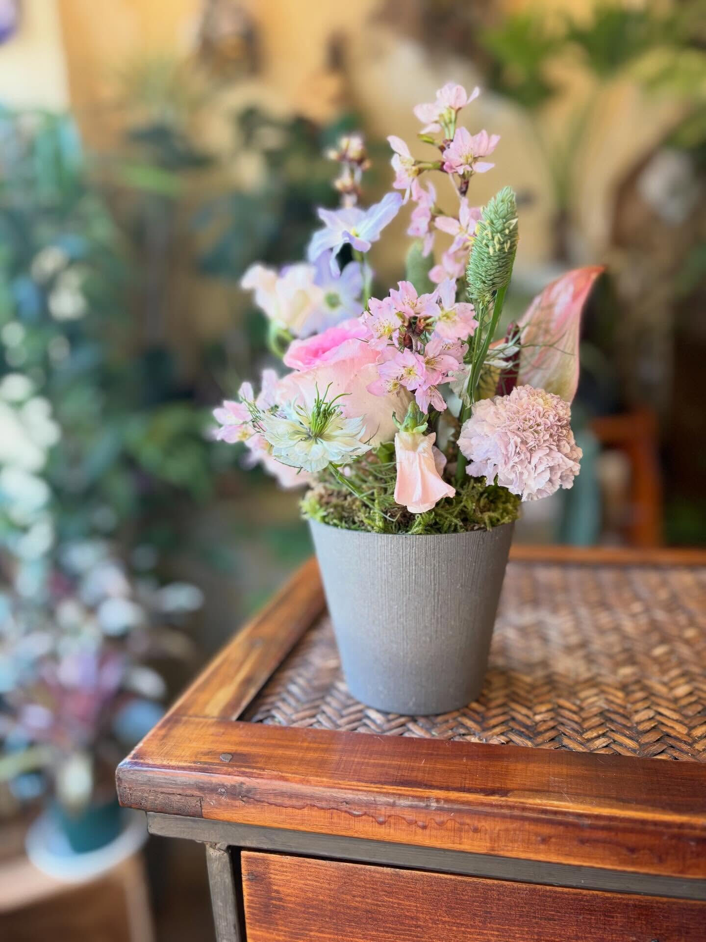 🌸 桜の“盆栽風アレンジメント”ワークショップのお知らせ