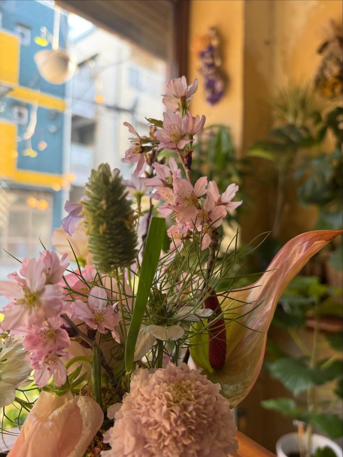 🌸 桜の“盆栽風アレンジメント”ワークショップのお知らせ
