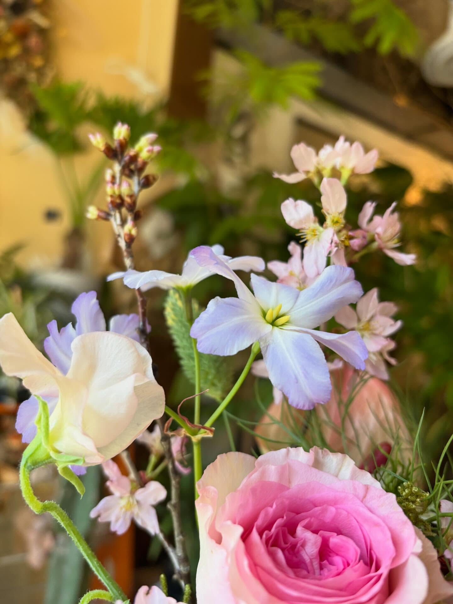 🌸 桜の“盆栽風アレンジメント”ワークショップのお知らせ